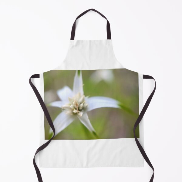 Item preview, White Star designed and sold by Jason Tompkins.