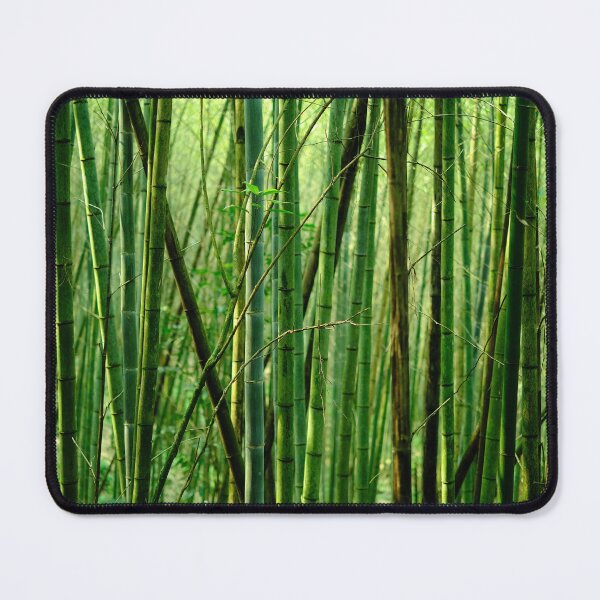 Item preview, Bamboo Forest 1 designed and sold by errric.