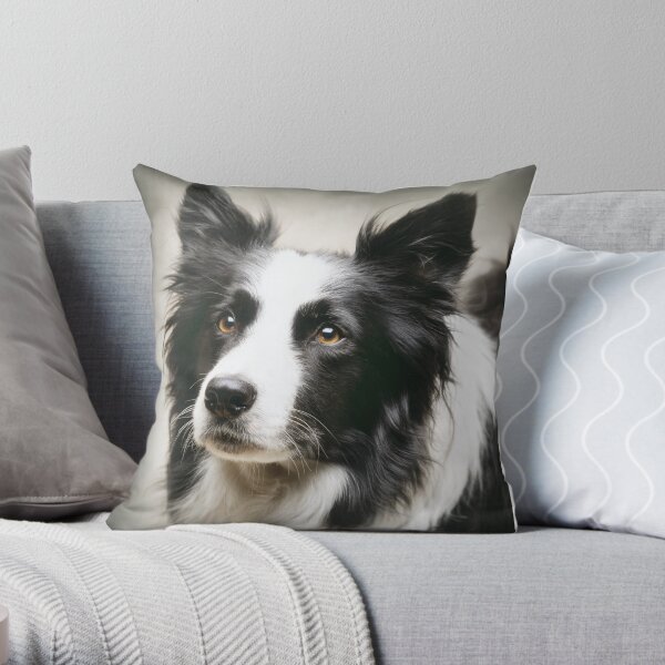 Working Border Collie Throw Pillow