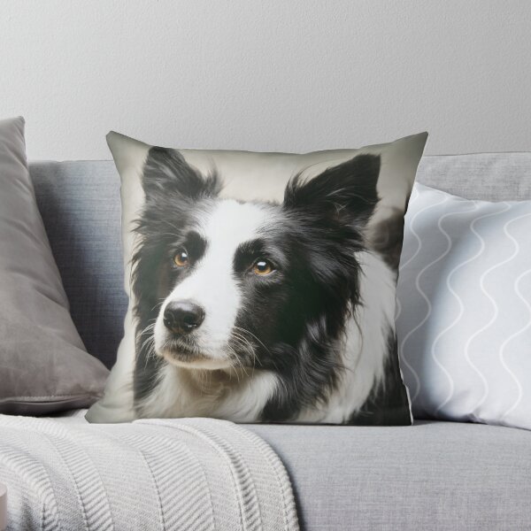 Border on sale collie pillow