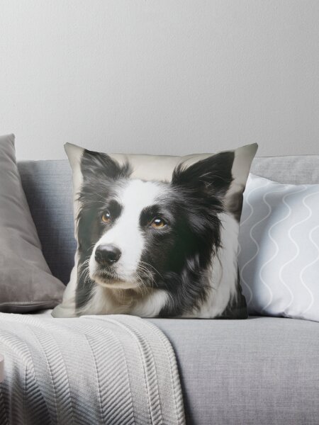 Item preview, Working Border Collie designed and sold by ernest123.