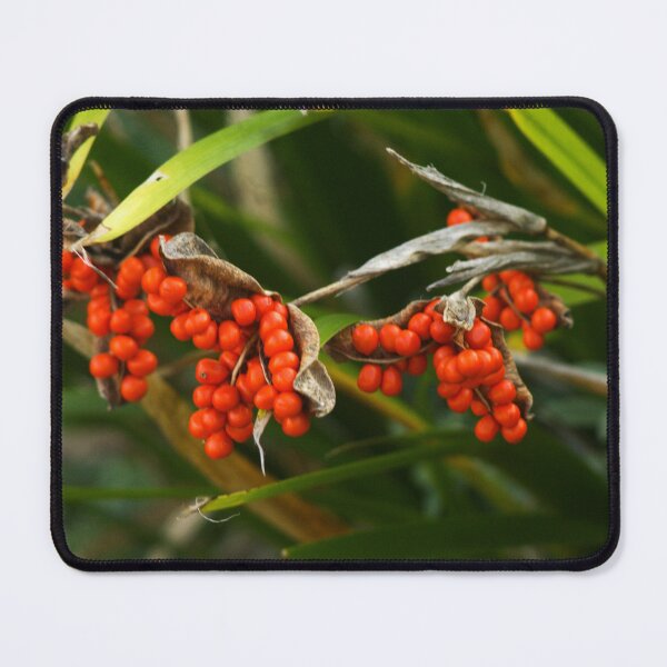 Item preview, orange wild berries designed and sold by Francespoppy.