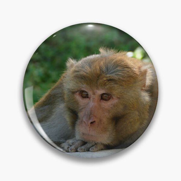 Item preview, Monkey - Grandfather designed and sold by Birgit Moldenhauer.