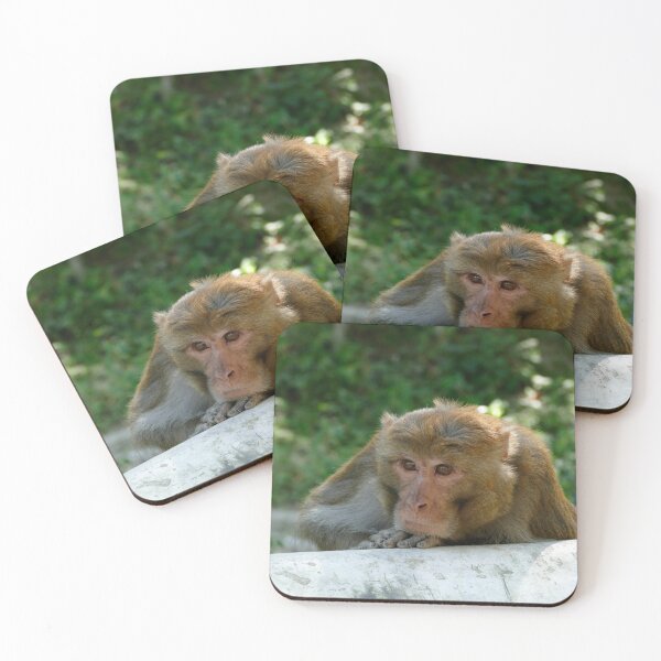 Item preview, Monkey - Grandfather designed and sold by Birgit Moldenhauer.
