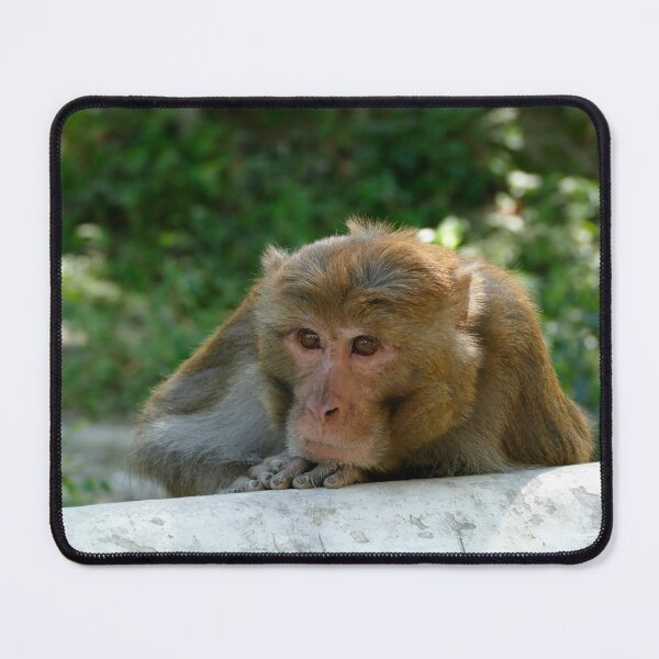 Item preview, Monkey - Grandfather designed and sold by Birgit Moldenhauer.