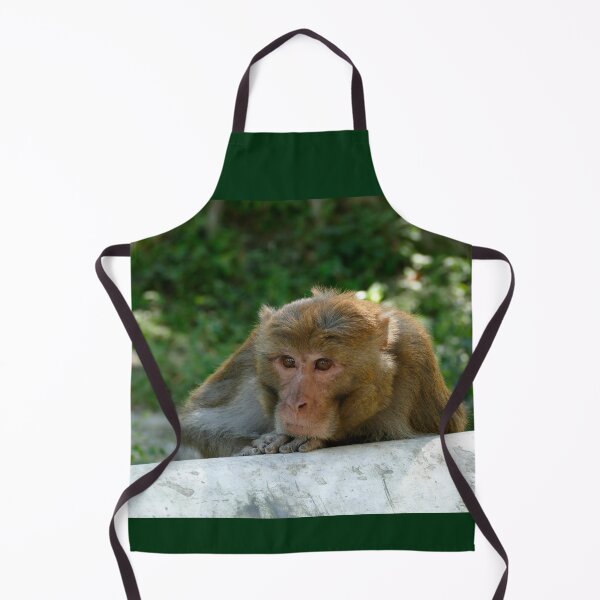 Item preview, Monkey - Grandfather designed and sold by Birgit Moldenhauer.