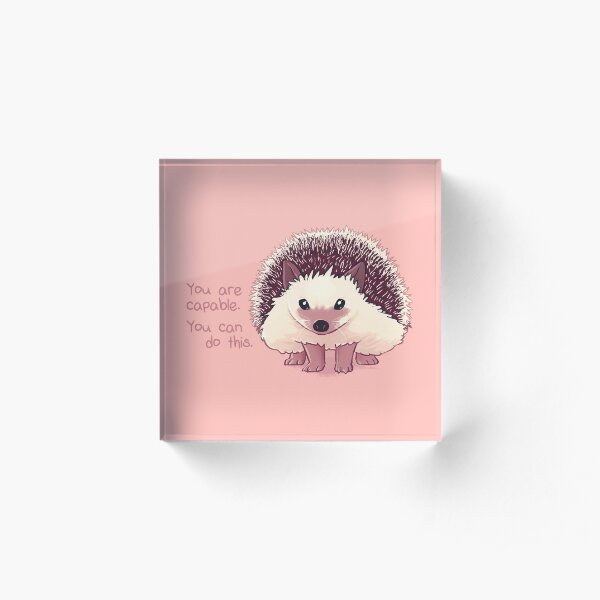 "You Are Capable" Hedgehog Acrylic Block