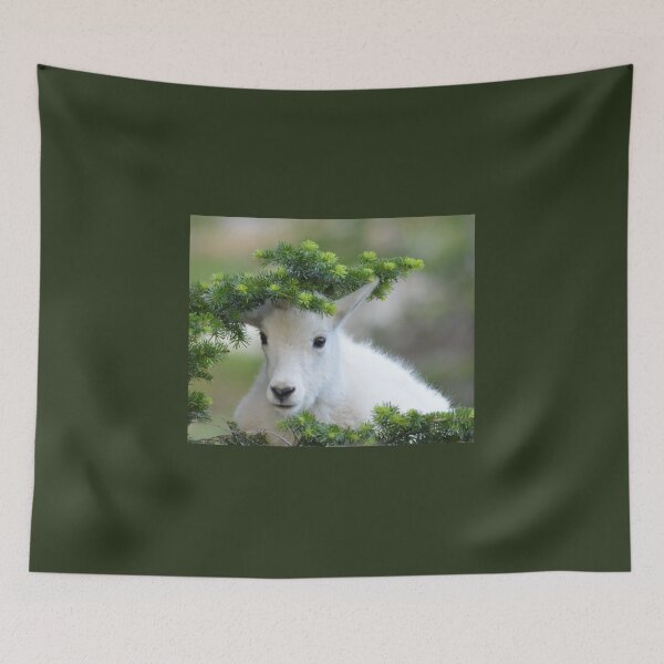 Item preview, Kurious Kid designed and sold by Whisperingpeaks.