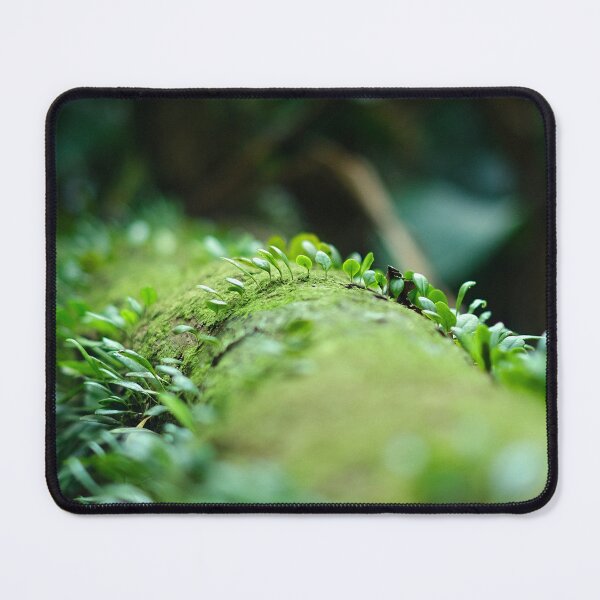 Item preview, Leafy branch designed and sold by errric.