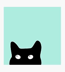 Hiding Kitty Cat Photographic Print