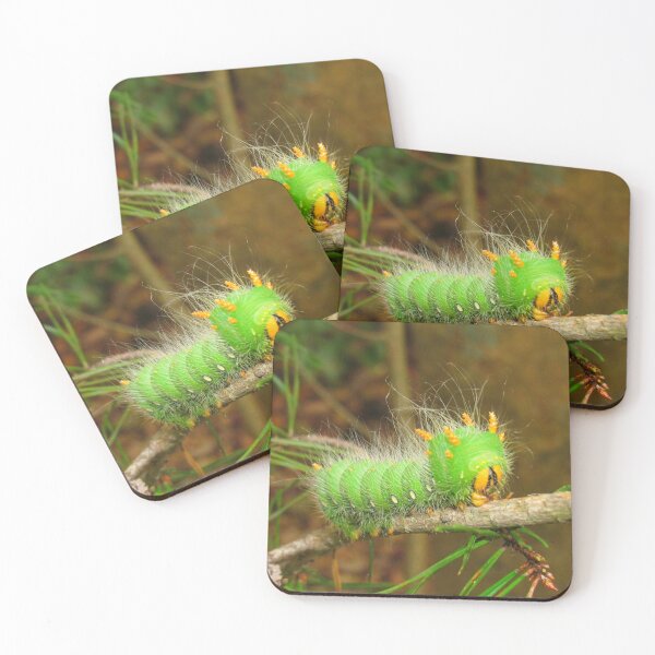 Artikelvorschau, Kaisermotte Caterpillar 2 entworfen und verkauft von Tonia Delozier's Photography .