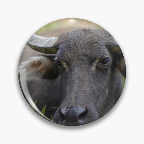 Item preview, Water Buffalo designed and sold by errric.