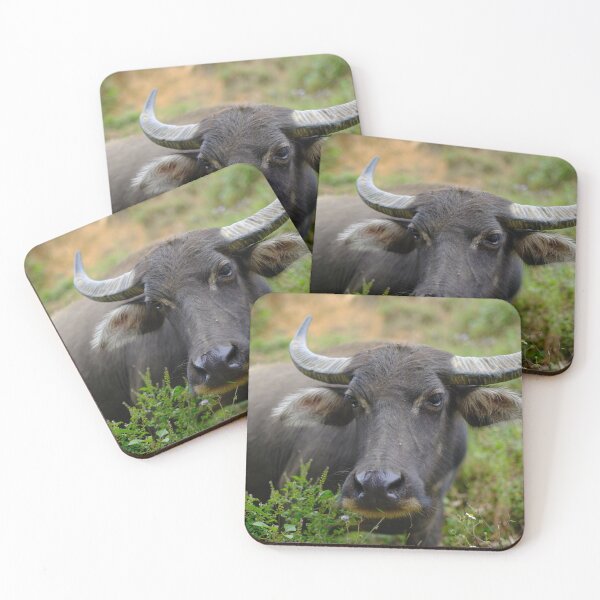 Item preview, Water Buffalo designed and sold by errric.