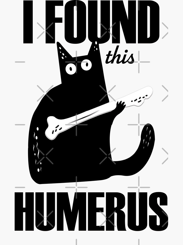 I Found This Humerus Funny Cat Shirt