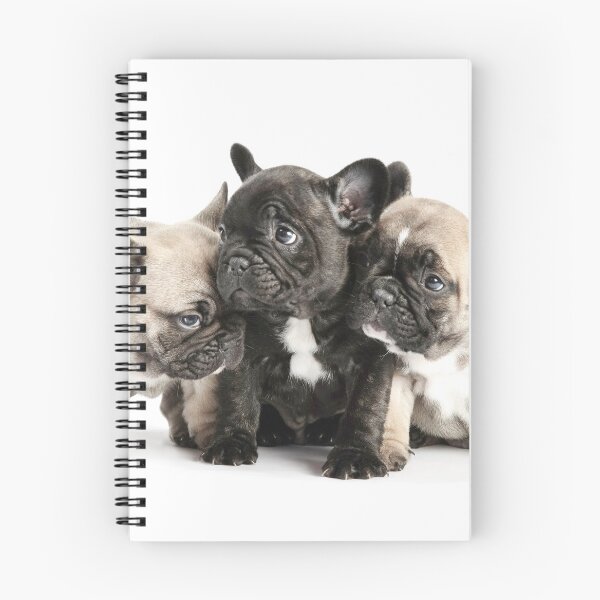 Item preview, Frenchie Pals designed and sold by ernest123.