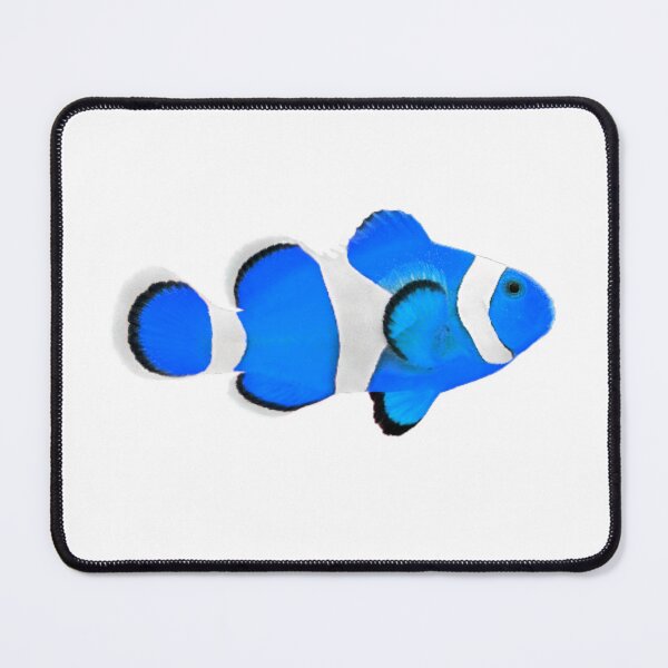 Item preview, Blue nemo fish  designed and sold by Sunwang.