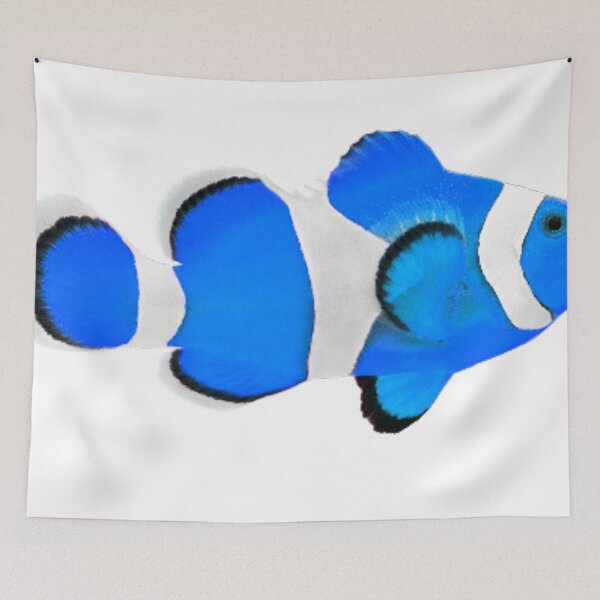 Item preview, Blue nemo fish  designed and sold by Sunwang.