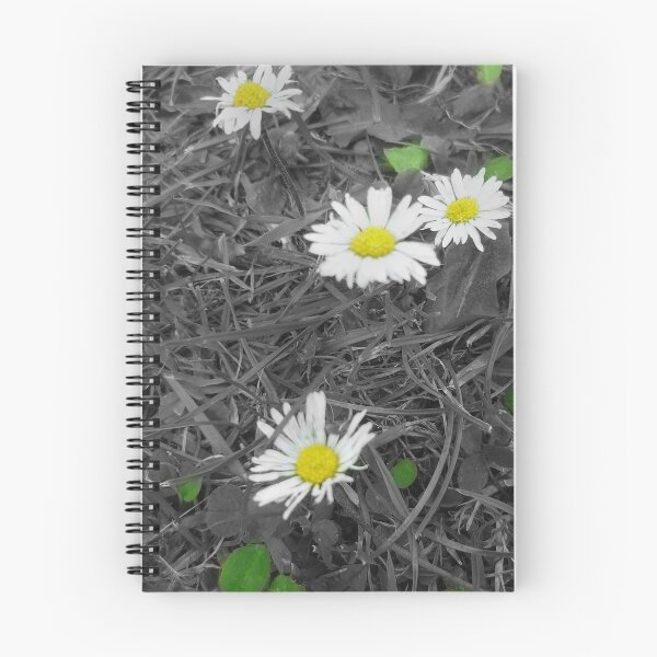 Item preview, Daisies designed and sold by Hannah Lowe.