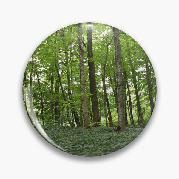 Item preview, A deciduous forest in summer designed and sold by Claude Laprise.