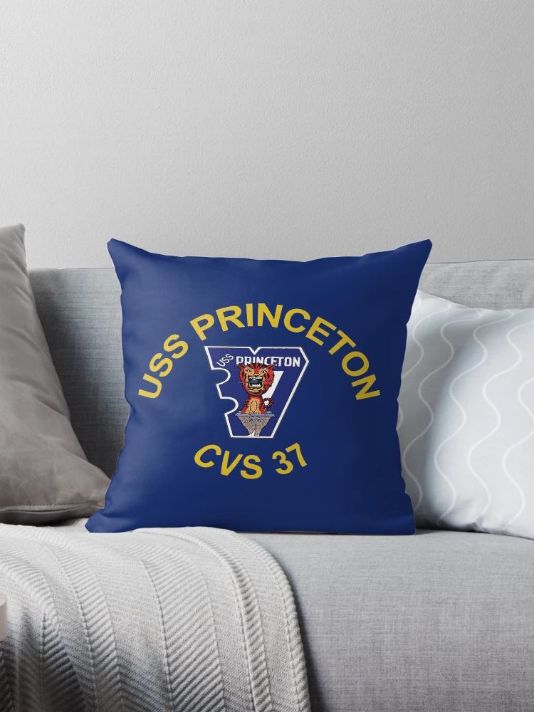 Cvs photo pillow best sale