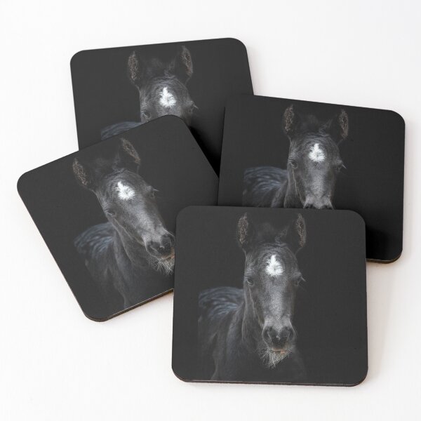Item preview, Black foal with white dot. designed and sold by LubosChlubny.