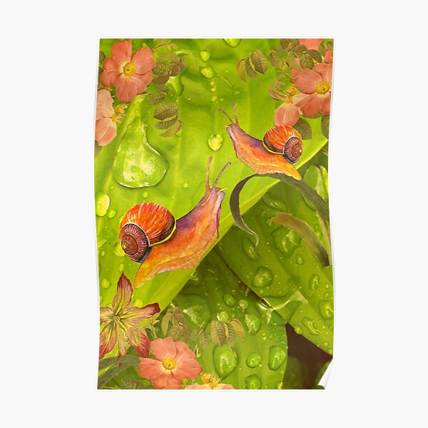 "SNAILS IN THE GARDEN BOTANICAL SNAILS VINTAGE SNAILS" Poster for