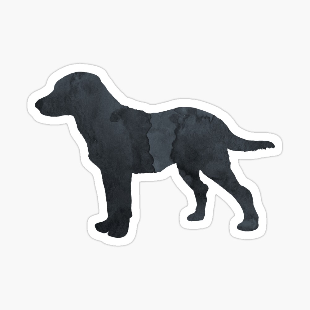 Chesapeake Bay Retriever Silhouette