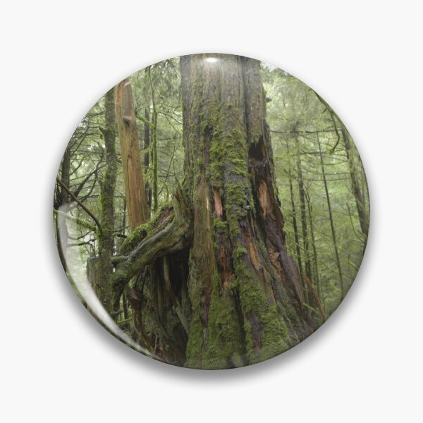 Item preview, ALASKAN FOREST designed and sold by JLFXCreations.