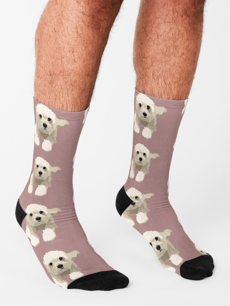 Maltese dog socks hotsell