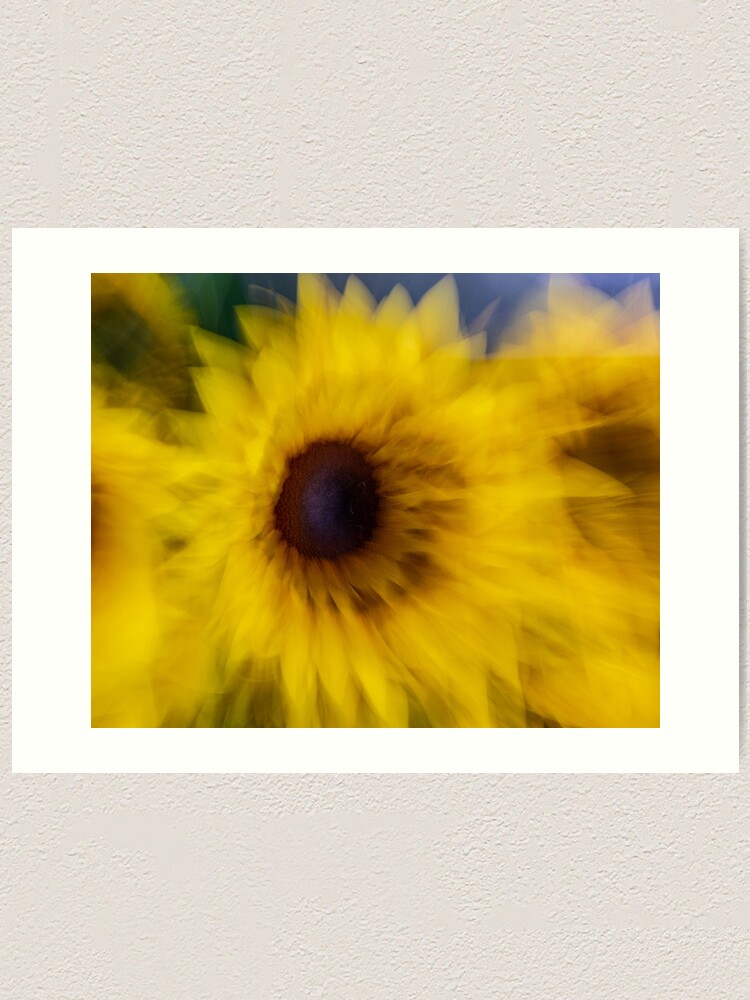 "Sunflower Zoom" Art Print for Sale by aires Redbubble