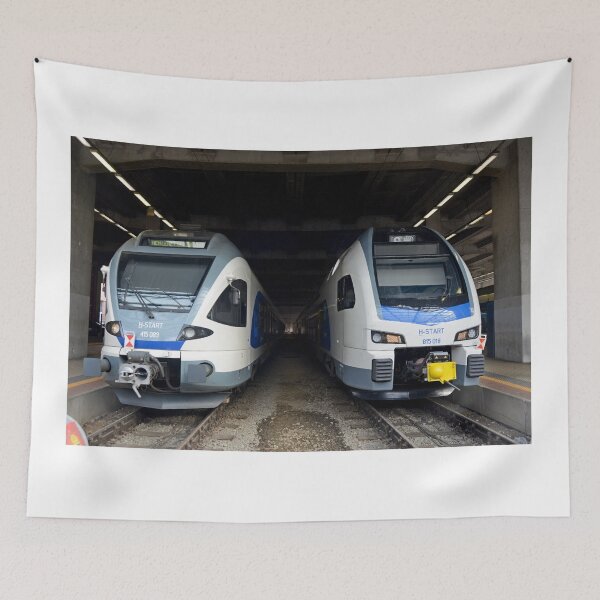 Item preview, Hungarian Railways Electic Locomotives at Budapest Keleti Station designed and sold by Random Railways.