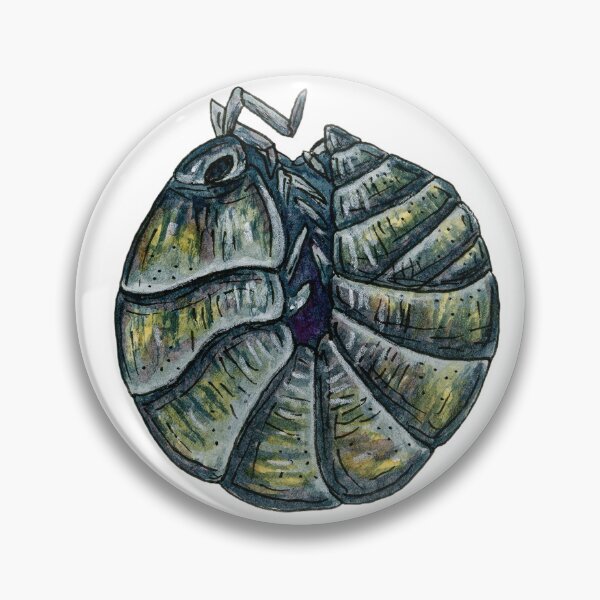 Item preview, Armadillidium vulgare Isopod designed and sold by paintedpansy.