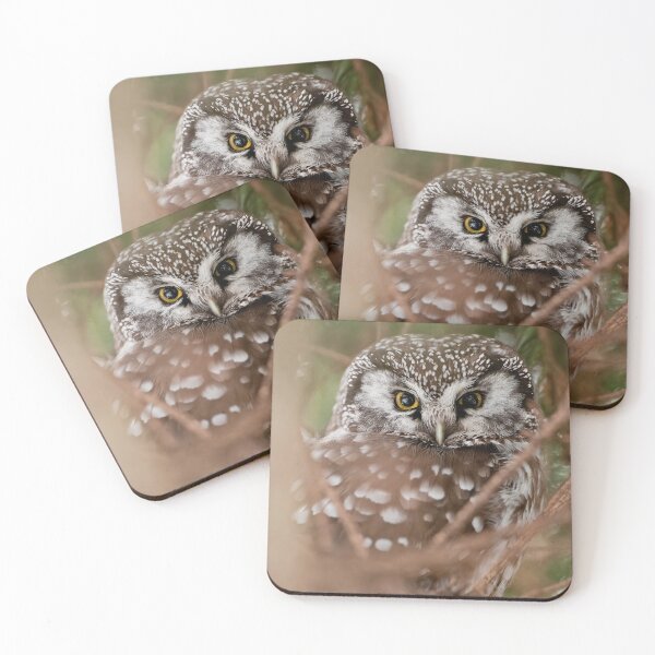 Item preview, Boreal Owl designed and sold by Michael Cummings.