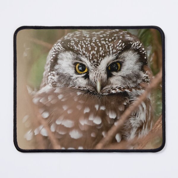 Item preview, Boreal Owl designed and sold by Michael Cummings.