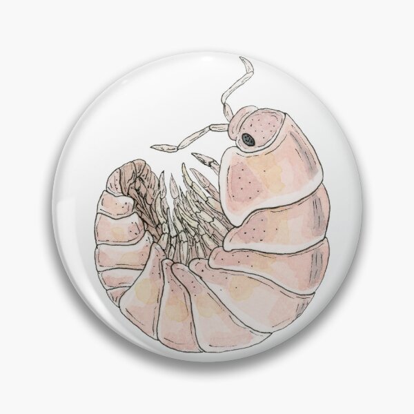 Item preview, Cubaris murina "Papaya" Isopod designed and sold by paintedpansy.