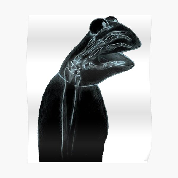 Kermit X Ray Posters for Sale | Redbubble Kermit X Ray Posters for Sale | Redbubble