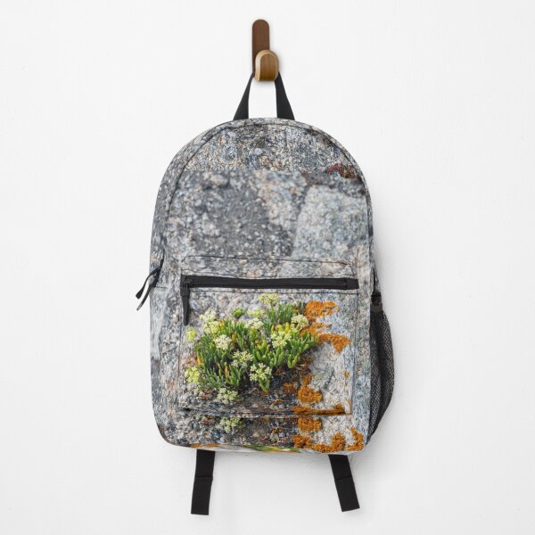 Item preview, Plant Wonders on Rock designed and sold by OskiOnTour.