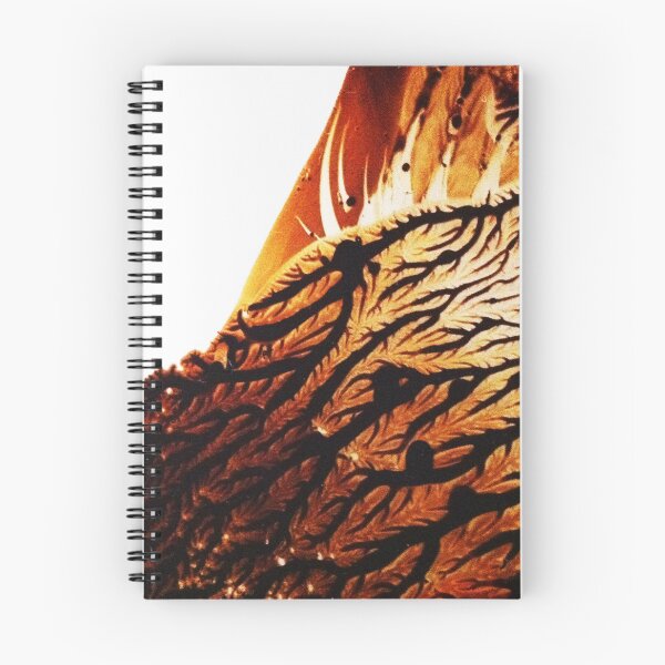 Item preview, Wearable architecture series #036 – Ferro Fluid designed and sold by Space Group Architects.