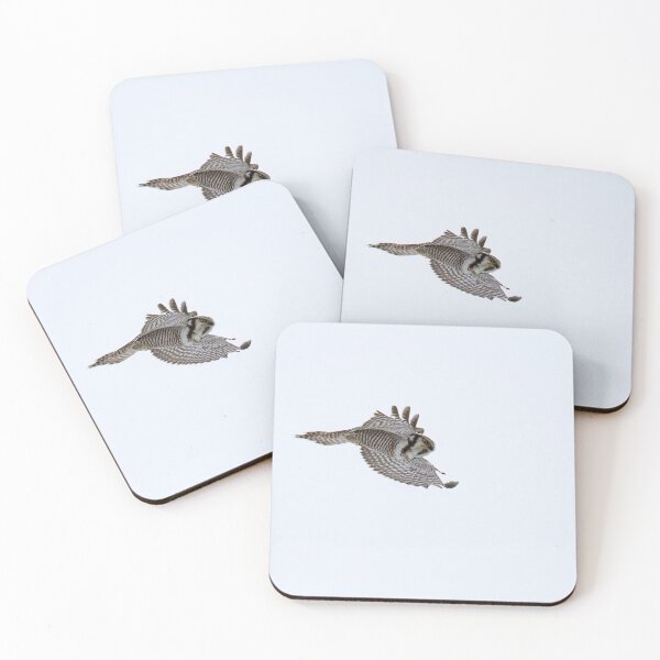 Item preview, On the fly. Northern hawk-owl designed and sold by Jouko Lehto Photography.