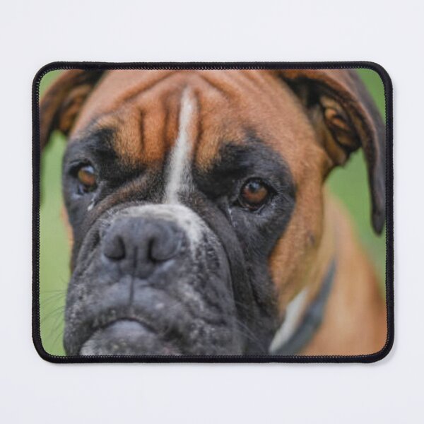 Item preview, Boxer Dog Puppy Curious designed and sold by DesignVertex.