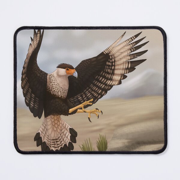 Item preview, Crested caracara designed and sold by DragonArtist15.
