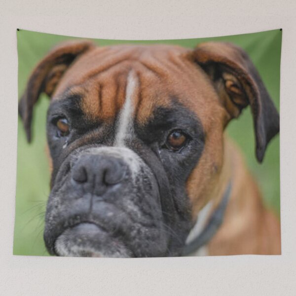 Item preview, Boxer Dog Puppy Curious designed and sold by DesignVertex.