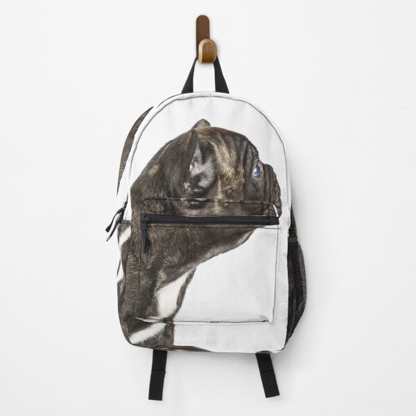 Item preview, Curious designed and sold by ernest123.