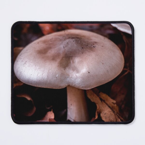 Item preview, Coffee mushroom  designed and sold by morganimagery.