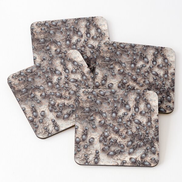 Item preview, Close-up view of ants in an anthill designed and sold by LubosChlubny.