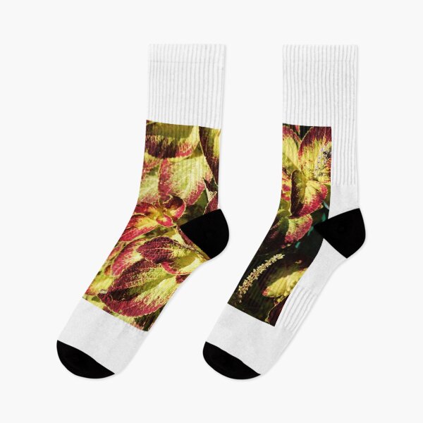 Item preview, Coleus Leaves designed and sold by Cynthia48.