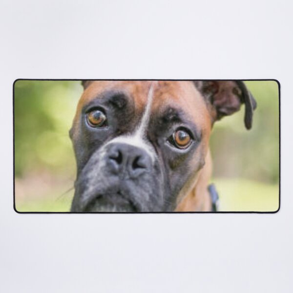 Item preview, Boxer Dog Puppy Curious designed and sold by DesignVertex.