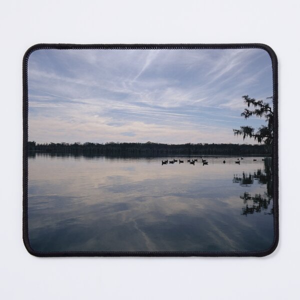 Item preview, Lake Martin swamp in Breaux Bridge Louisiana. designed and sold by chillbilldill.