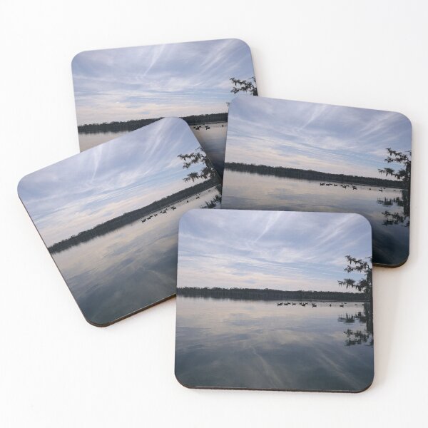 Item preview, Lake Martin swamp in Breaux Bridge Louisiana. designed and sold by chillbilldill.