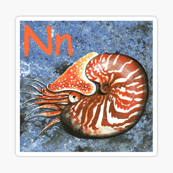 N is for Nautilus Sticker